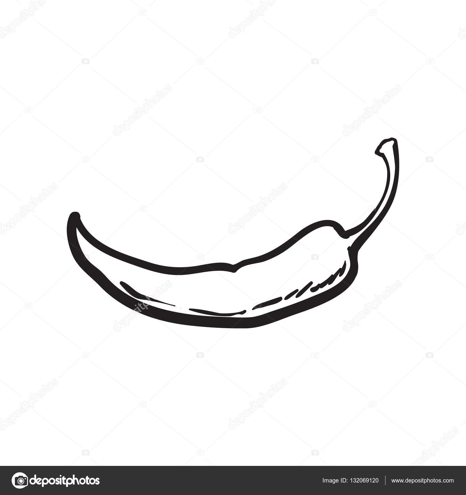 1600x1700 peppers drawing mexican chili for free download - Chile Drawing
