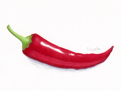 400x300 chili - Chili Drawing