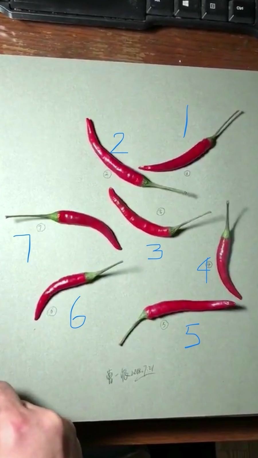 900x1600 one chilli is a drawing the rest are real which one is a drawing - Chili Drawing