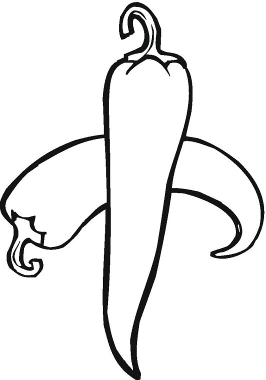 532x760 peppers drawing free download - Chili Drawing