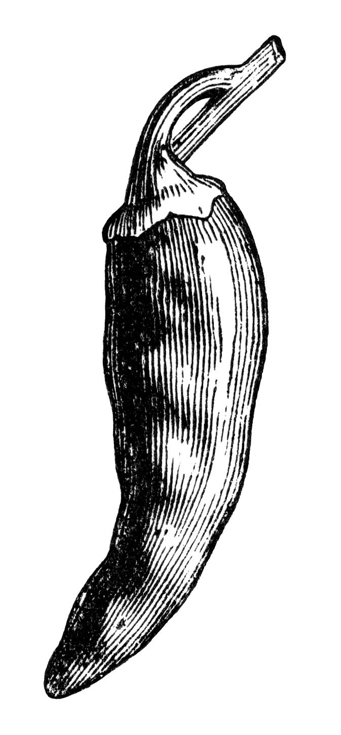 673x1448 black and white clip art, bell pepper clipart, chili pepper - Chili Drawing