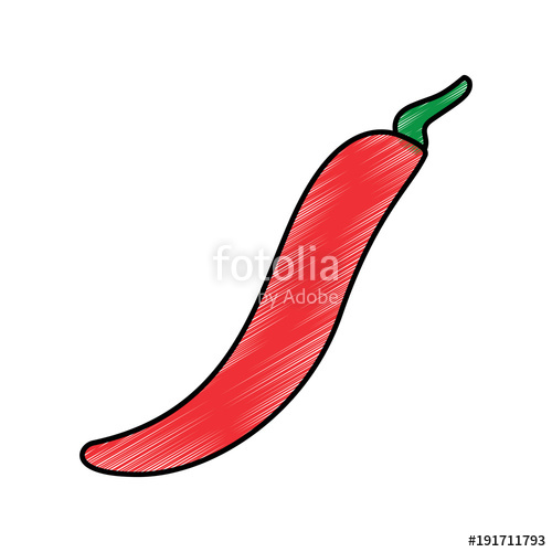 500x500 chili pepper vegetable fresh condiment food vector illustration - Chili Drawing