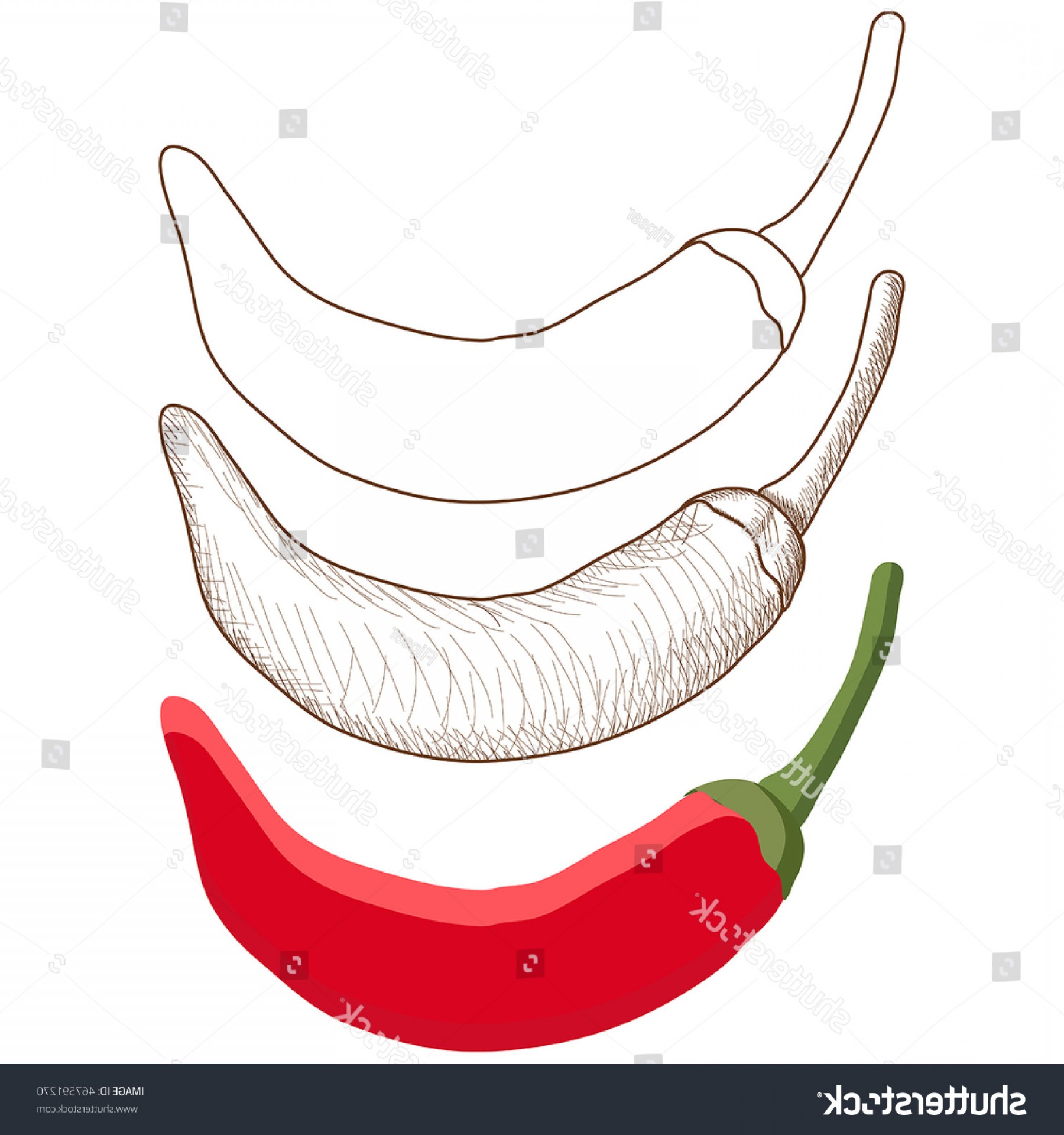 1800x1920 chili pepper hand drawn doodle outline sohadacouri - Chili Pepper Drawing