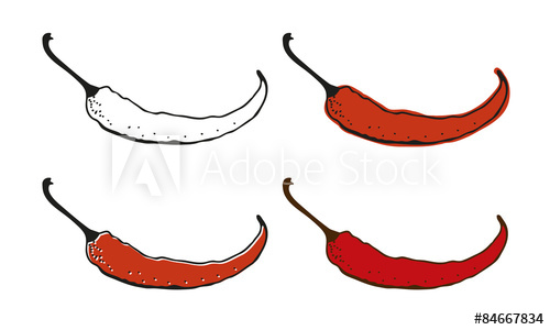 500x300 chili pepper drawing - Chili Pepper Drawing
