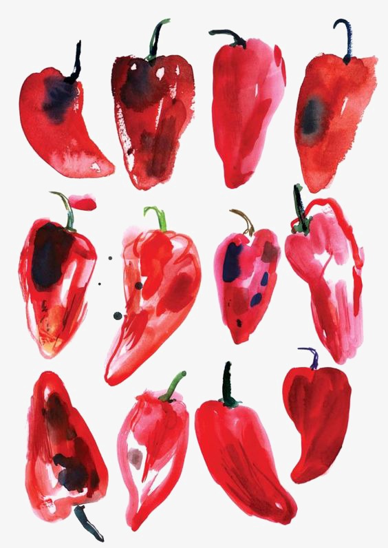 Chili Pepper Drawing at PaintingValley.com | Explore collection of ...