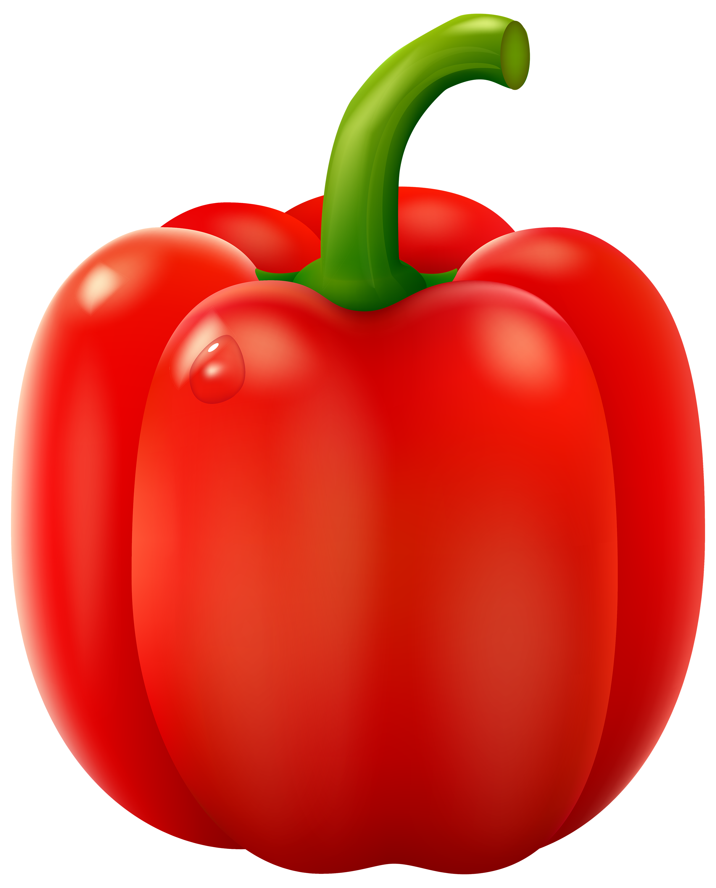 2420x3000 chili drawing transparent png clipart free download - Chili Pepper Drawing