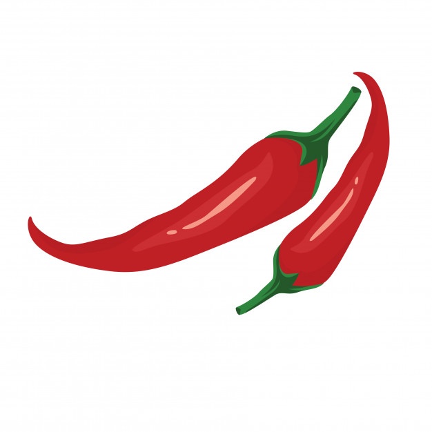 626x626 chili vectors, photos and free download - Chilli Drawing