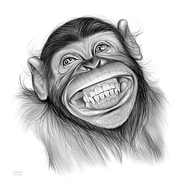 600x600 Chimpanzee Shower Curtain For Sale - Chimp Drawing