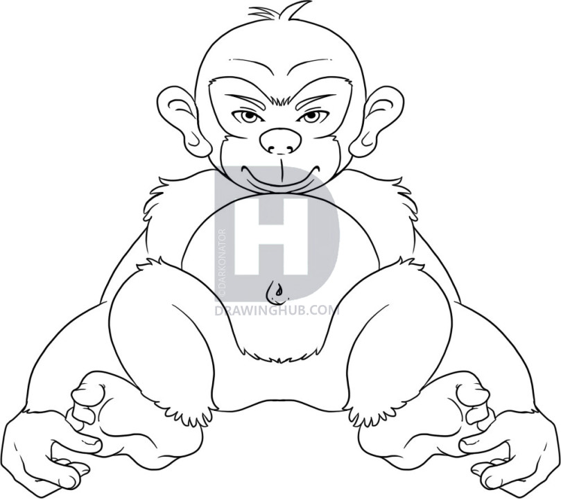 809x720 How To Draw A Chimpanzee, Step - Chimp Drawing