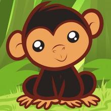 220x220 How To Draw How To Draw A Chimpanzee For Kids - Chimp Drawing