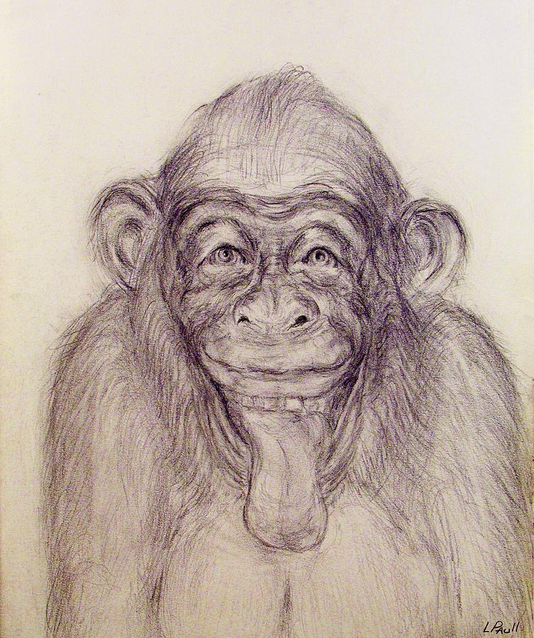 753x900 Laughing Chimp Drawing - Chimp Drawing