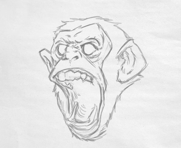 Chimp Drawing at PaintingValley.com | Explore collection of Chimp Drawing