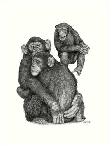 413x549 chimpanzee drawing art prints - Chimpanzee Drawing
