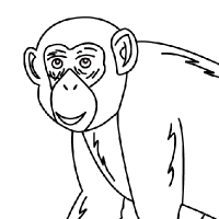 200x200 drawing chimpanzee - Chimpanzee Drawing