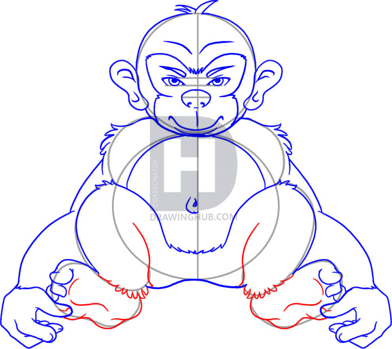 809x720 how to draw a chimpanzee, step - Chimpanzee Drawing