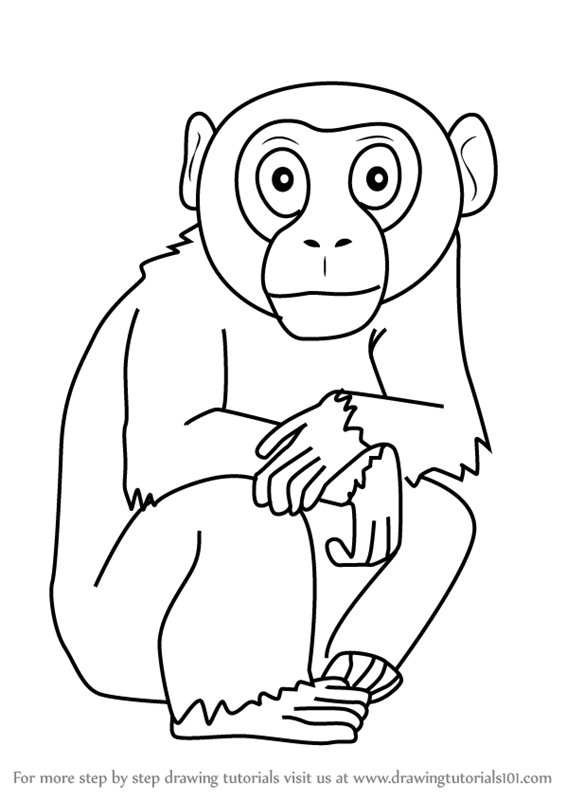 566x800 learn how to draw a cartoon chimpanzee - Chimpanzee Drawing