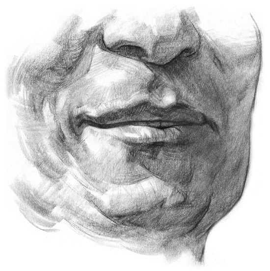 Chin Drawing at Explore collection of Chin Drawing