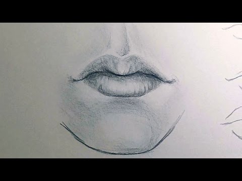 480x360 How To Draw A Mouth - Chin Drawing