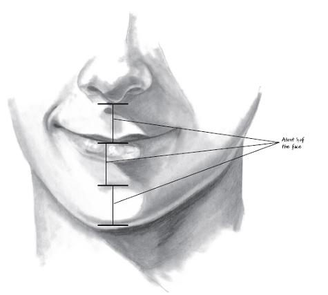 475x427 secrets to drawing realistic faces - Chin Drawing