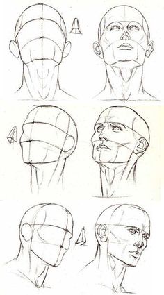 236x425 Drawing Art Head Draw Skull View Human Anatomy Turn Direction - Chin Drawing