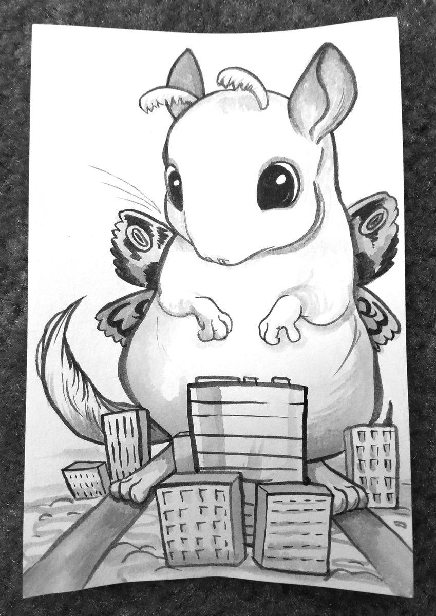 849x1200 My Drawing Of My Chinchilla Mothra Chinchilla - Chinchilla Drawing