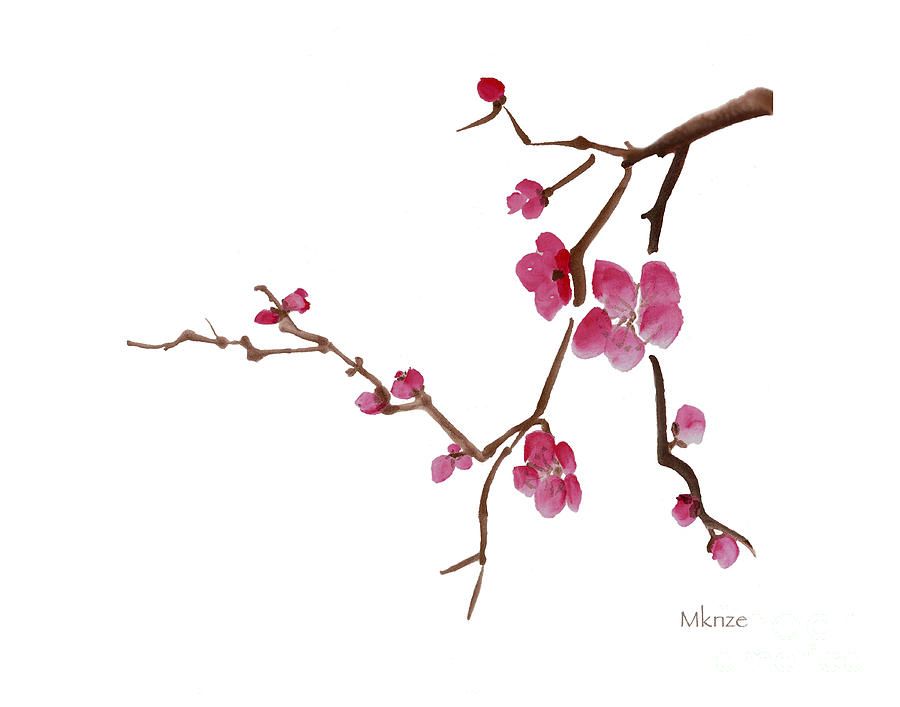 900x707 Cherry Blossoms Painting - Chinese Cherry Blossom Drawing