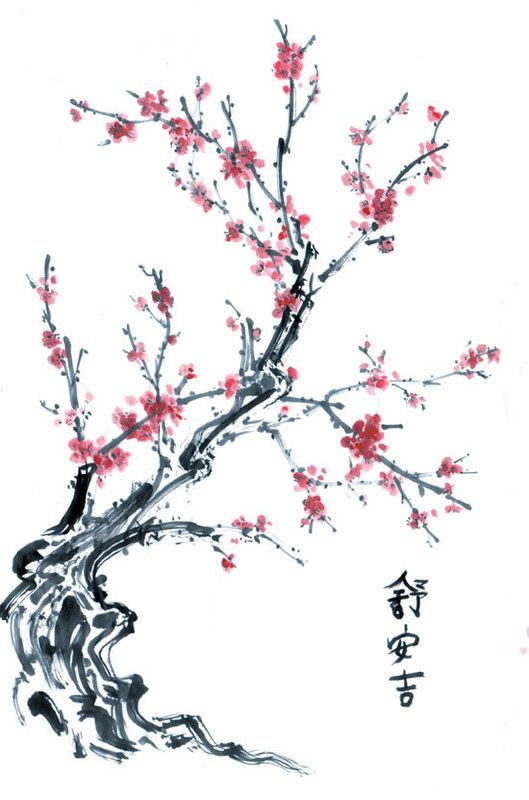 529x800 This Is The Extra Cool Chinese Tree Pink Blossom Wallpaper - Chinese Cherry Blossom Drawing