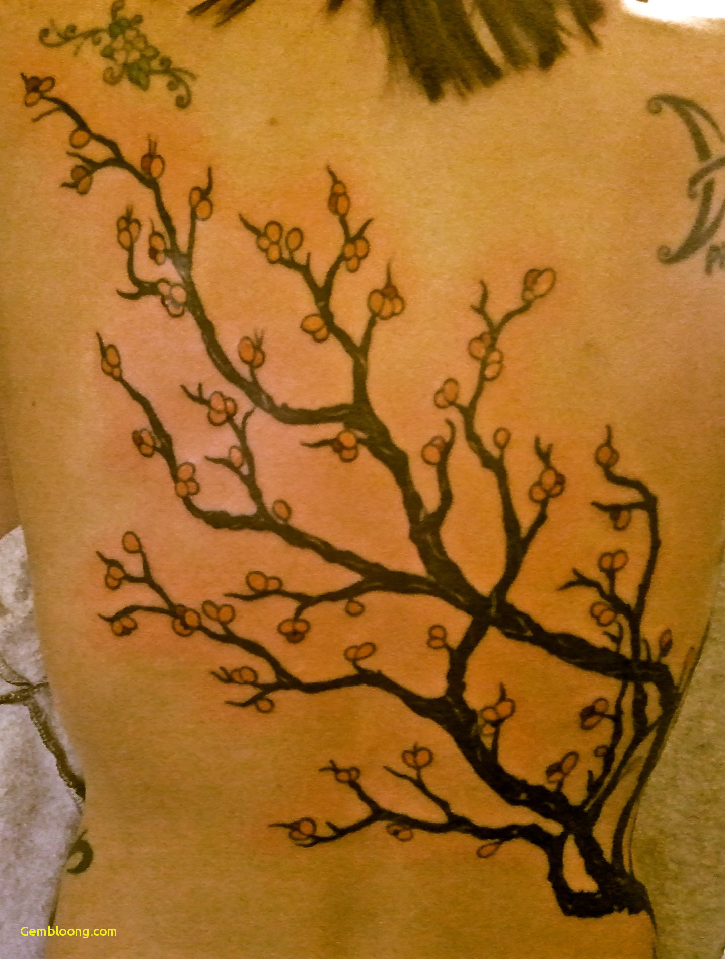 1440x1904 cherry blossom tree drawing expensive chinese cherry blossom - Chinese Cherry Blossom Drawing