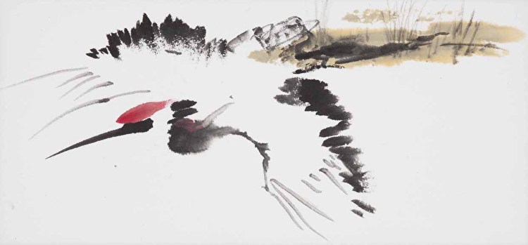 750x349 Cindy Lommasson - Chinese Crane Drawing