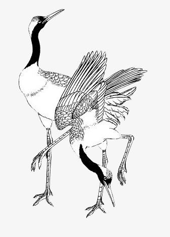 337x470 Crane Stick Figure, Chinese Style, Crane, Animal Png Image - Chinese Crane Drawing