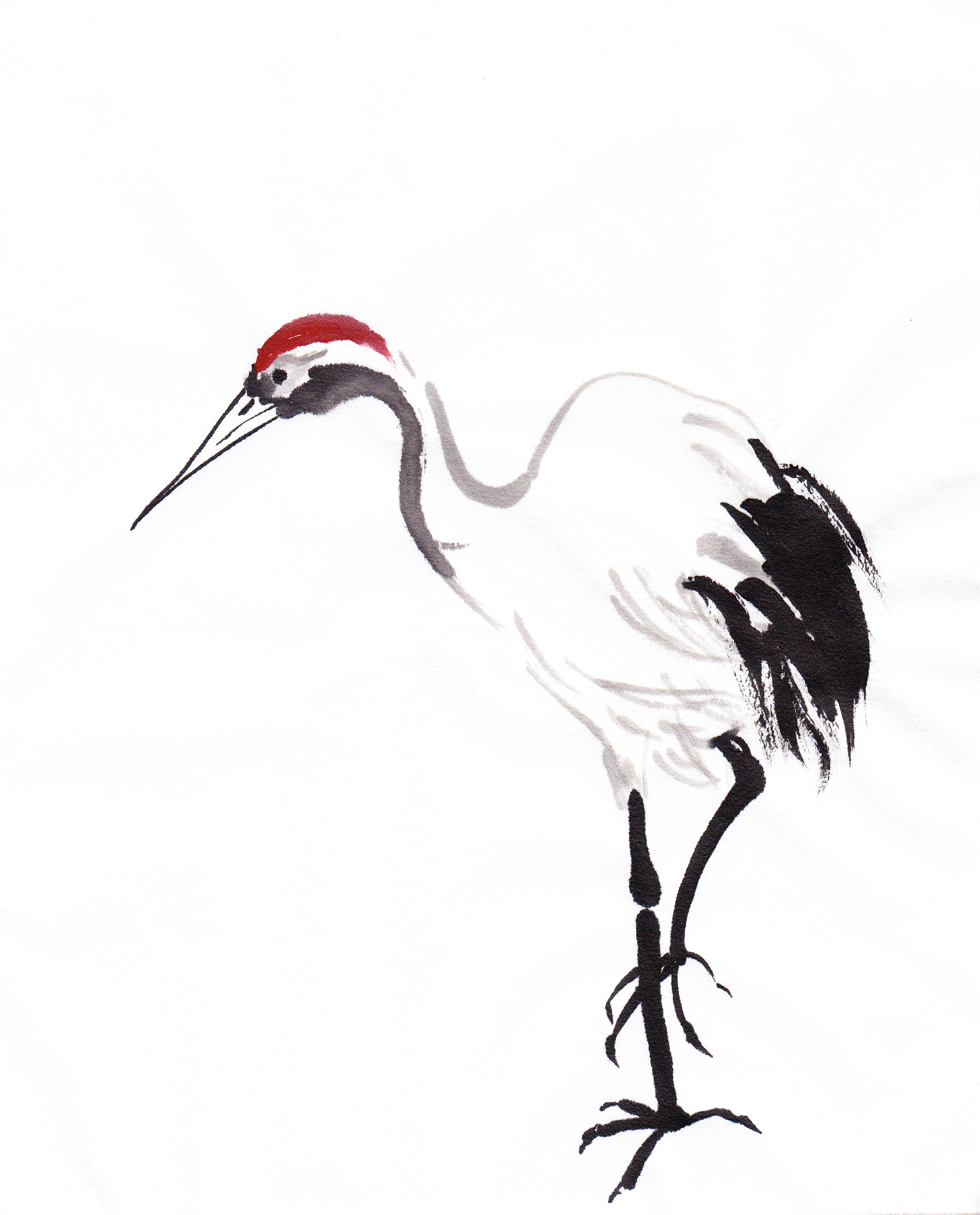 Chinese Crane Drawing at PaintingValley.com | Explore collection of ...