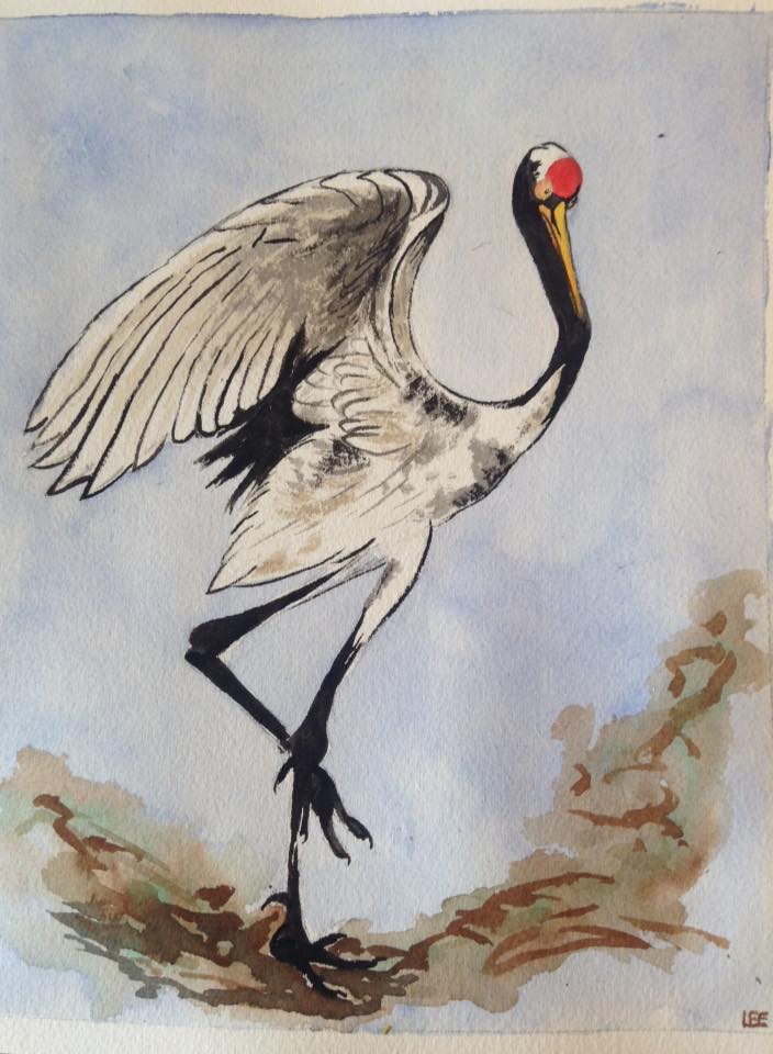 704x960 Chinese Crane Standing Watercolor X Life On Its Sidesusan - Chinese Crane Drawing
