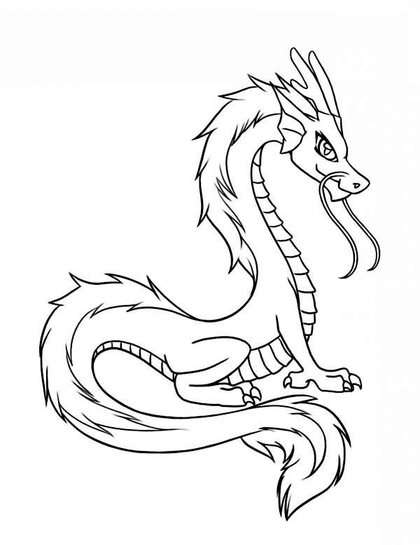 600x777 dragon, chinese dragon illustration in cartoon coloring - Chinese Dragon Cartoon Drawing