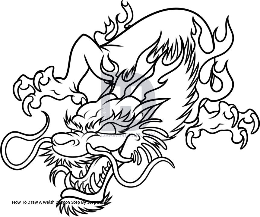 862x720 how to draw a welsh dragon step - Chinese Dragon Drawing