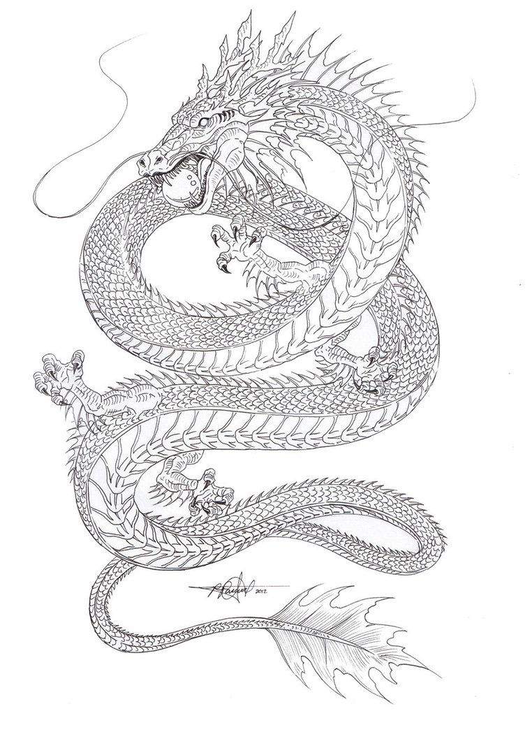762x1048 Outline Sketch Of The Chinese Water Dragon Gonna Color It - Chinese Dragon Drawing