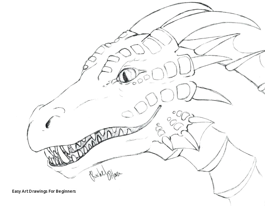 878x683 Draw A Pig Easy Easy Art Drawings For Beginners Chinese Dragon - Chinese Dragon Drawing Easy