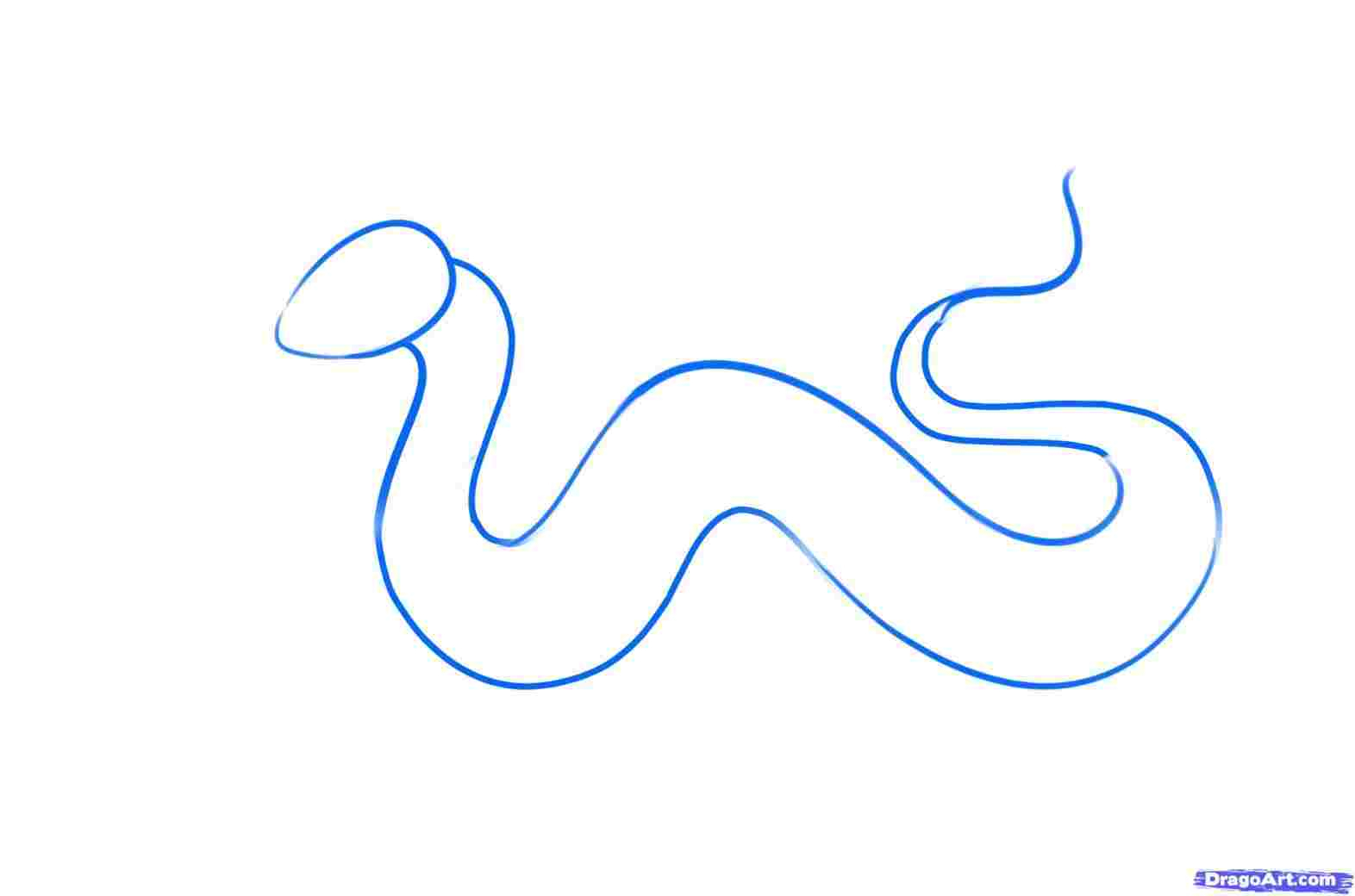 1572x1040 Chinese Dragon Drawing Step - Chinese Dragon Drawing Step By Step