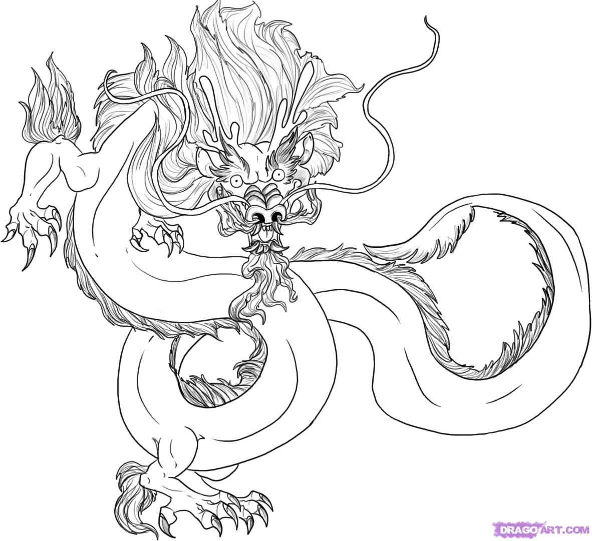 1182x1081 Chinese Dragon Drawing Step - Chinese Dragon Drawing Step By Step
