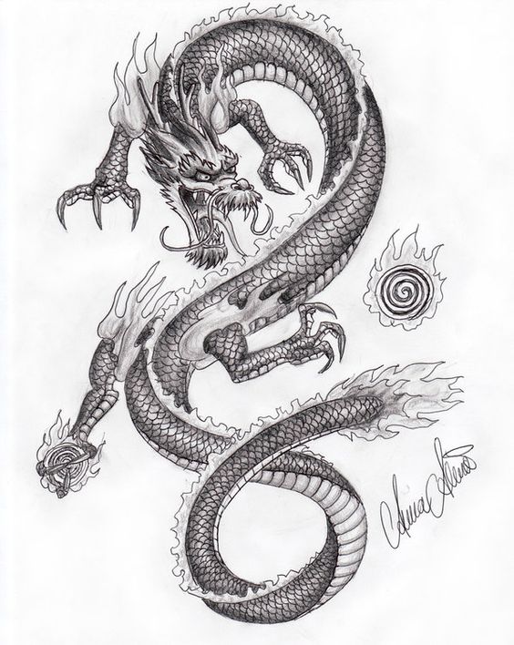 564x708 Pictures Chinese Dragon Drawing - Chinese Dragon Drawing Tutorial