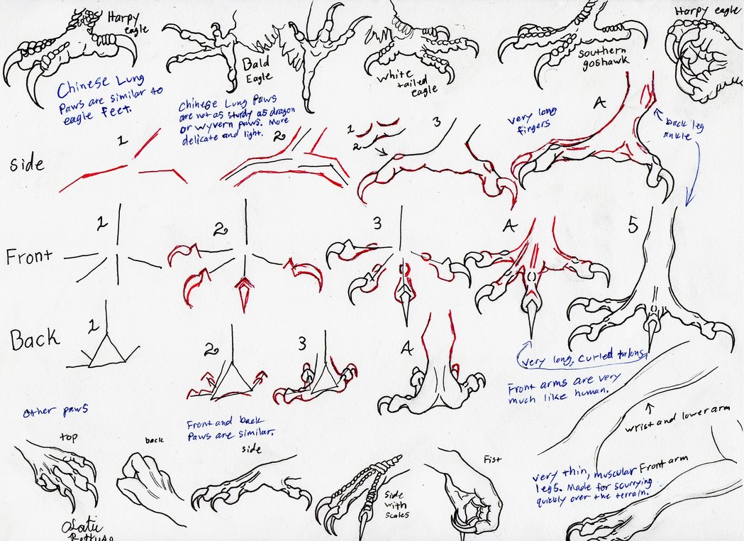 1049x762 Tutorial How I Draw - Chinese Dragon Drawing Tutorial