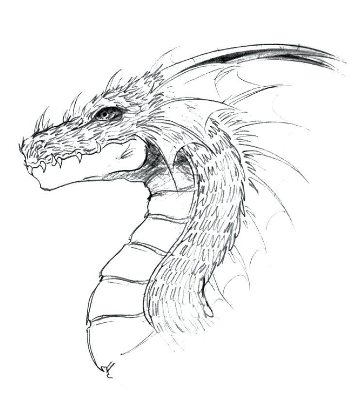Chinese Dragon Face Drawing at Explore collection