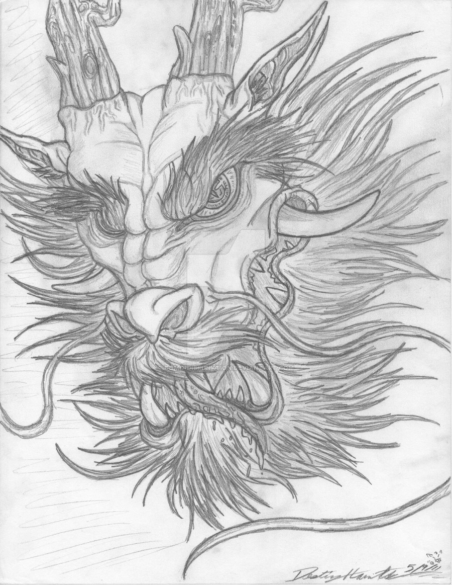 900x1163 Chinese Dragon Head - Chinese Dragon Face Drawing