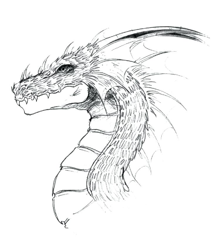 736x816 Chinese Dragon Head Drawing Beautiful Art Drawing Skill - Chinese Dragon Head Drawing
