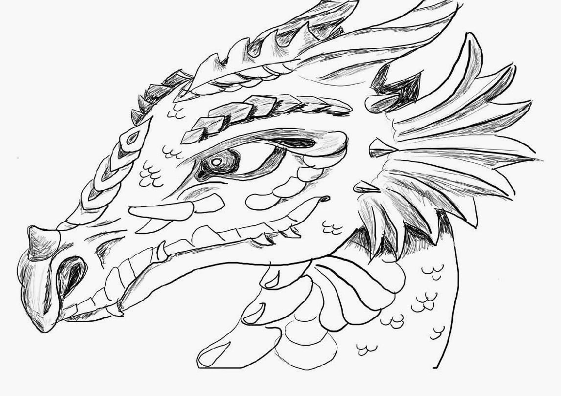 1146x810 Chinese Dragon Head Drawing - Chinese Dragon Head Drawing
