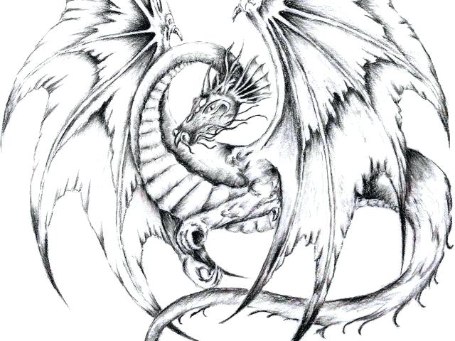 640x480 Dragon Drawing Easy The Images Collection Of Easy Draw Drawn - Chinese Dragon Head Drawing