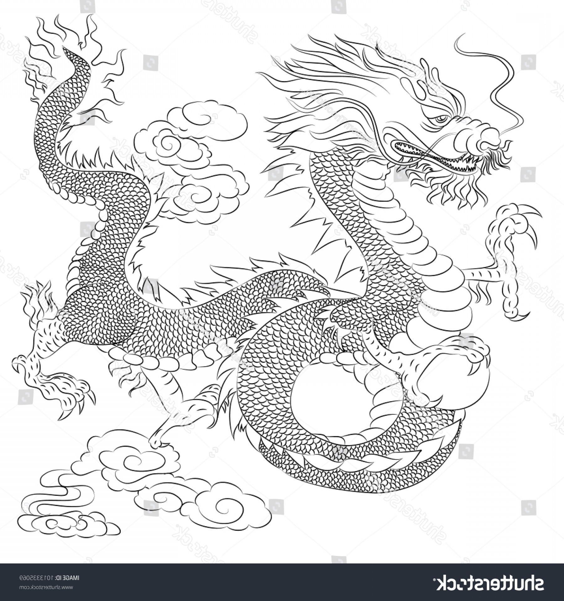 Chinese Dragon Head Drawing at PaintingValley.com | Explore collection ...