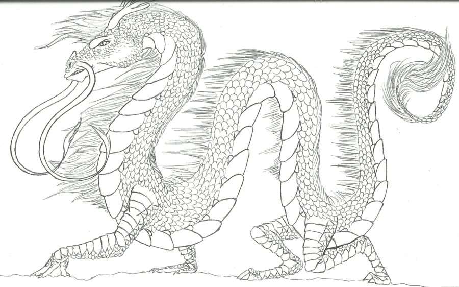 Chinese Dragon Line Drawing