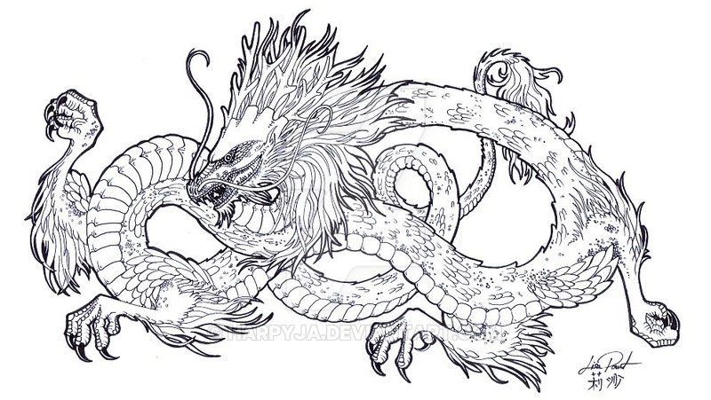 800x451 Chinese Dragon Lineart - Chinese Dragon Line Drawing