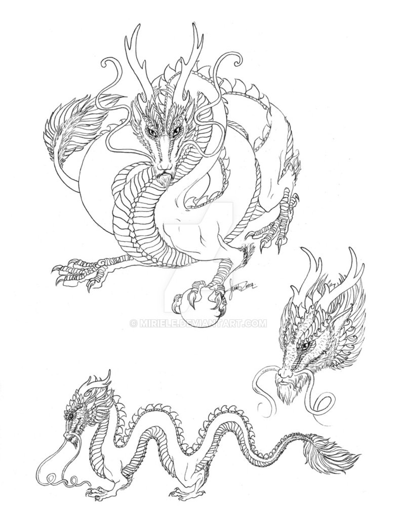 784x1018 Chinese Dragon Line Art - Chinese Dragon Line Drawing