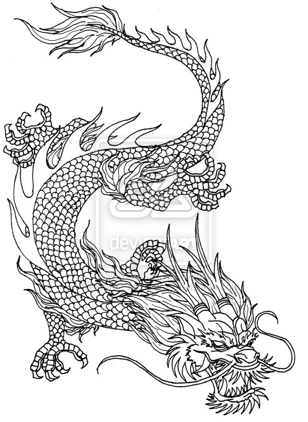 Chinese Dragon Line Drawing at Explore collection